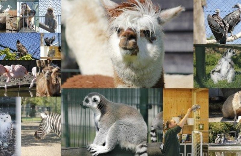 Van Blankendaell Park