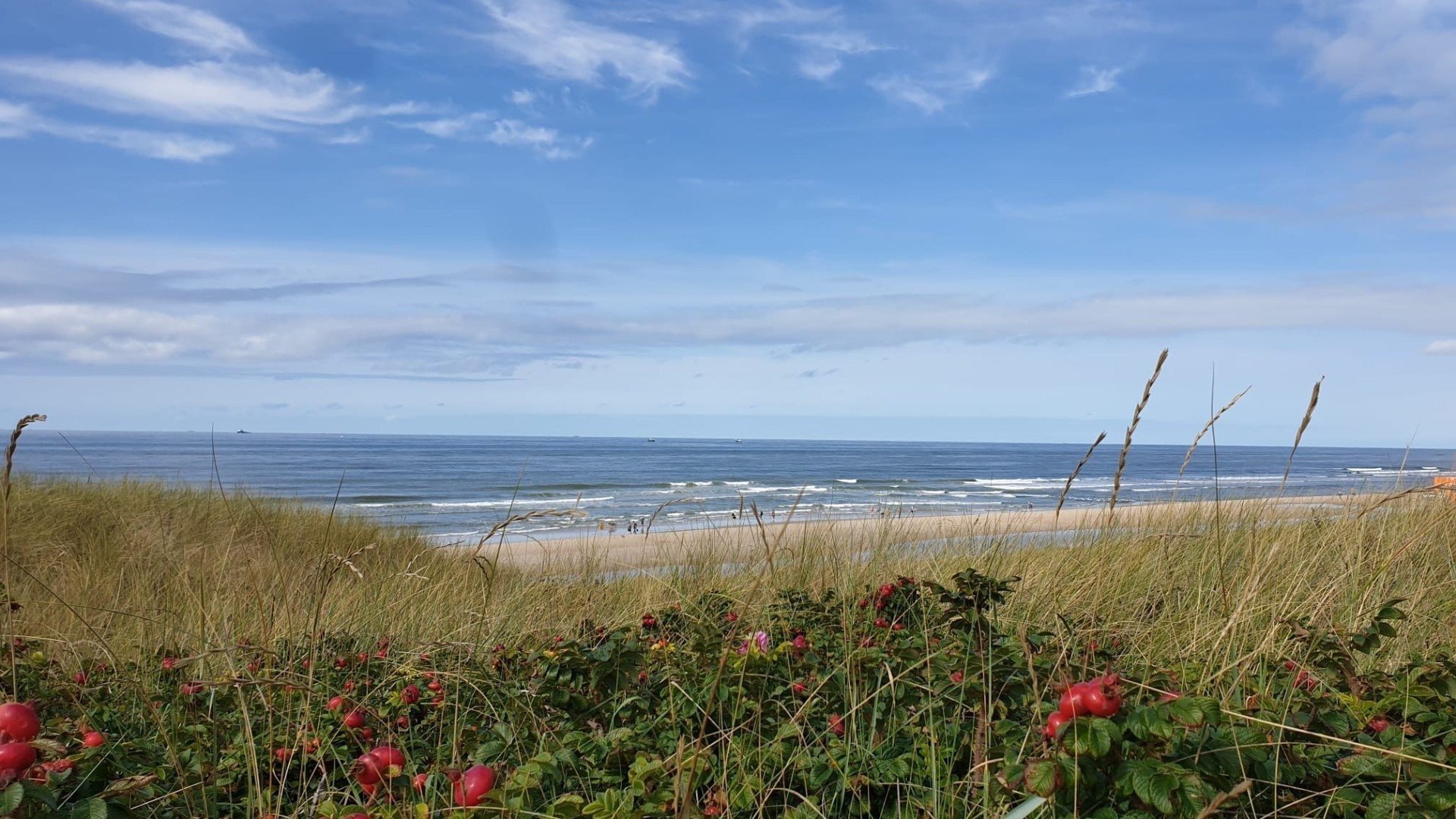 Vakantie noord holland