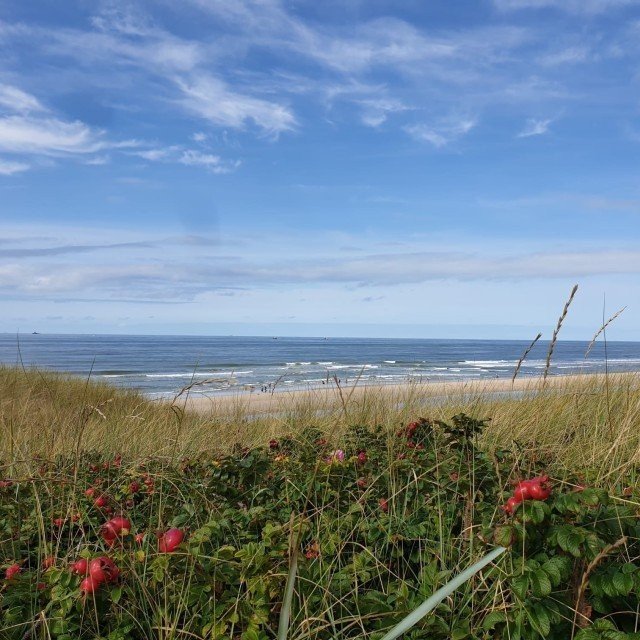 Vakantie noord holland